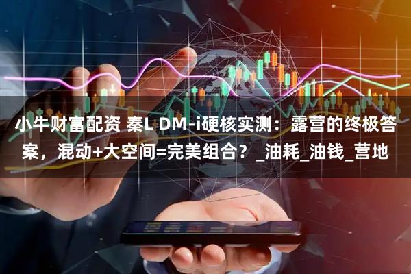 小牛财富配资 秦L DM-i硬核实测：露营的终极答案，混动+大空间=完美组合？_油耗_油钱_营地