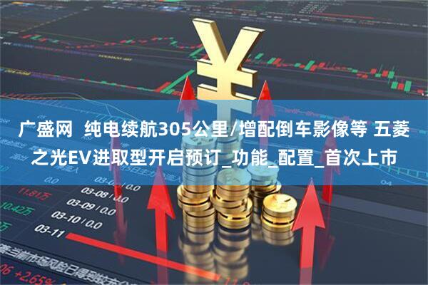 广盛网  纯电续航305公里/增配倒车影像等 五菱之光EV进取型开启预订_功能_配置_首次上市