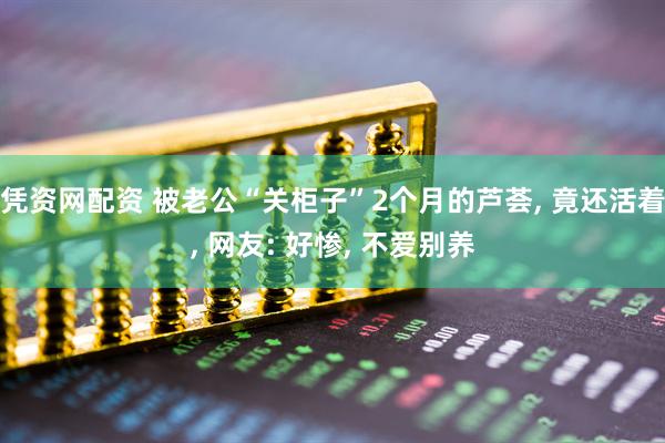 凭资网配资 被老公“关柜子”2个月的芦荟, 竟还活着, 网友: 好惨, 不爱别养