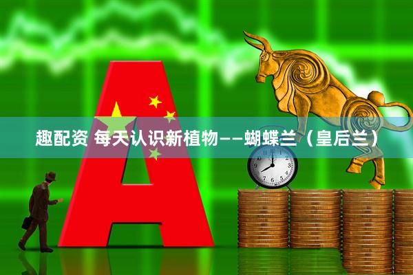 趣配资 每天认识新植物——蝴蝶兰（皇后兰）