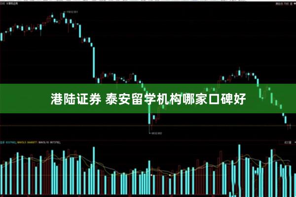 港陆证券 泰安留学机构哪家口碑好