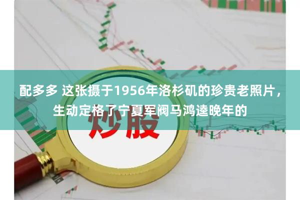 配多多 这张摄于1956年洛杉矶的珍贵老照片，生动定格了宁夏军阀马鸿逵晚年的